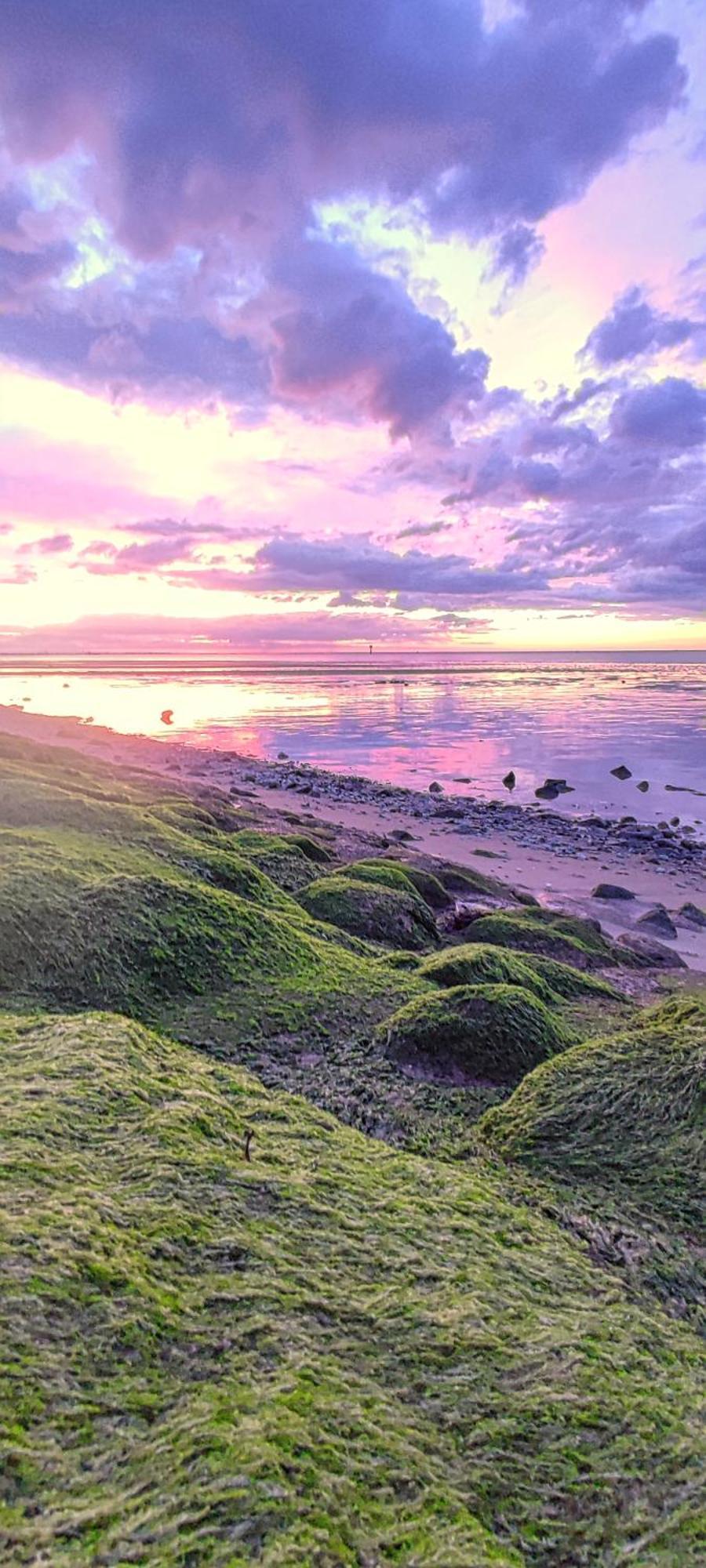 Nordseezimmer Koi Отерндорф Екстериор снимка